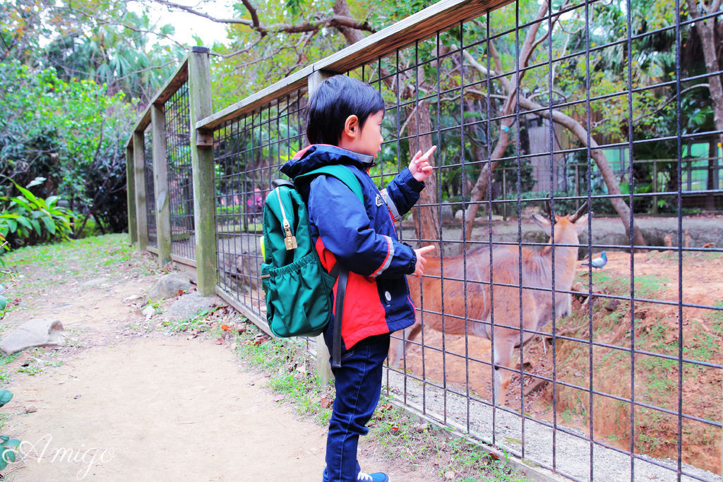 親子旅遊