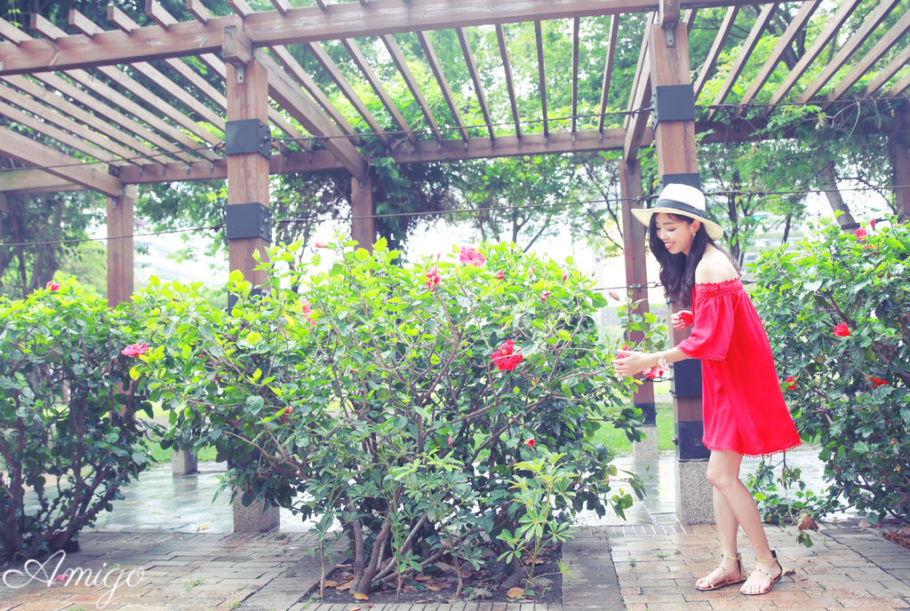 hacica 八和花洗髮精