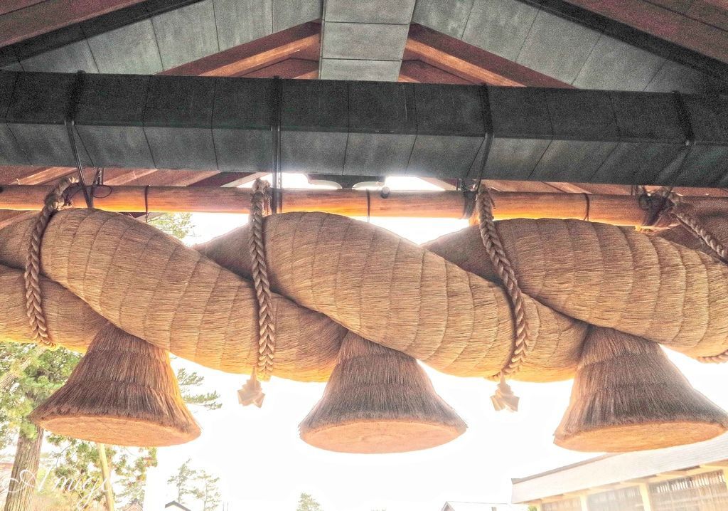 日本島根松江旅遊 出雲大社 松江花鳥園