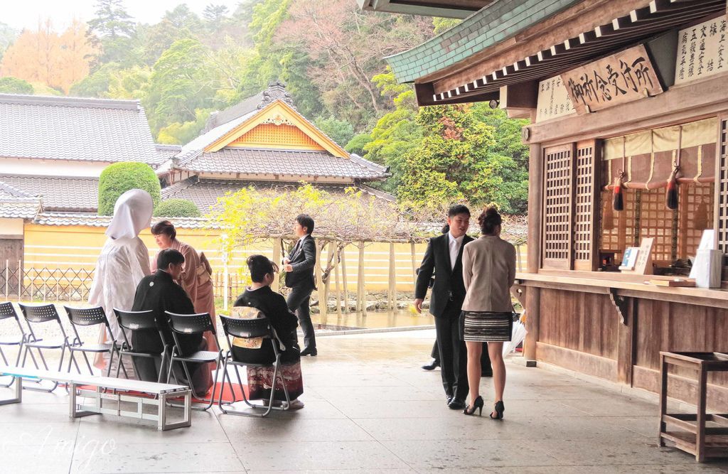 日本島根松江旅遊 出雲大社 松江花鳥園