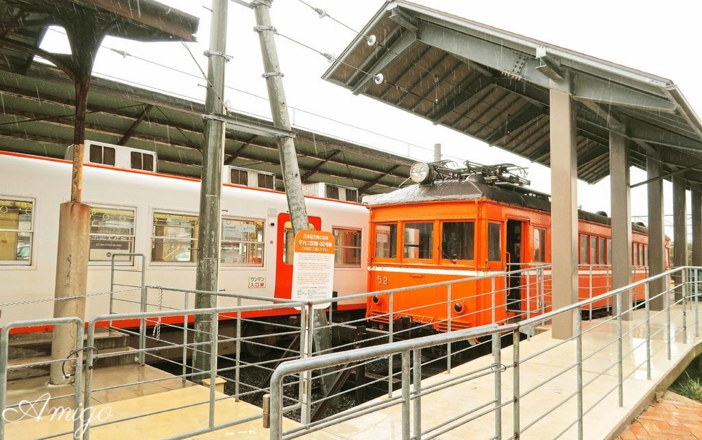 日本島根松江旅遊 出雲大社 松江花鳥園