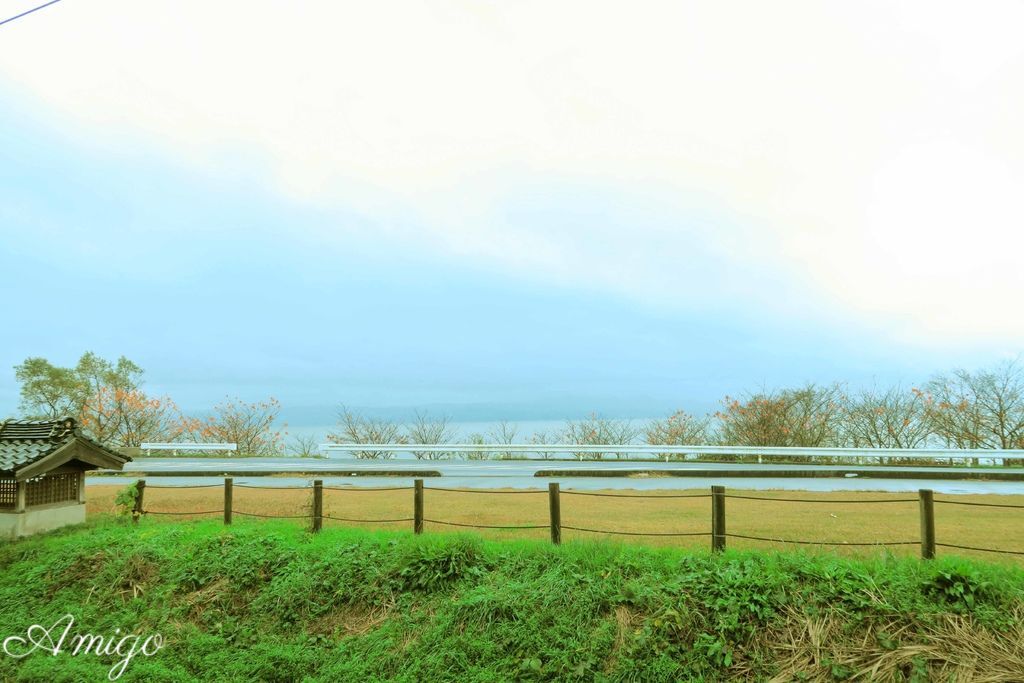 日本島根松江旅遊 出雲大社 松江花鳥園