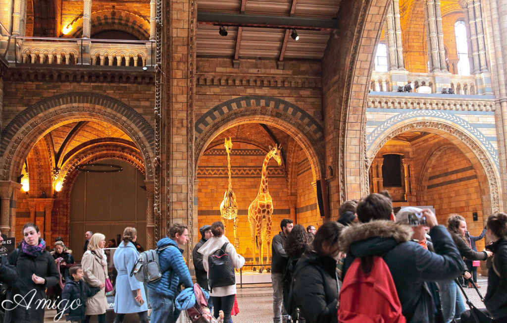 英國倫敦旅遊  歷史博物館 維多利亞博物館