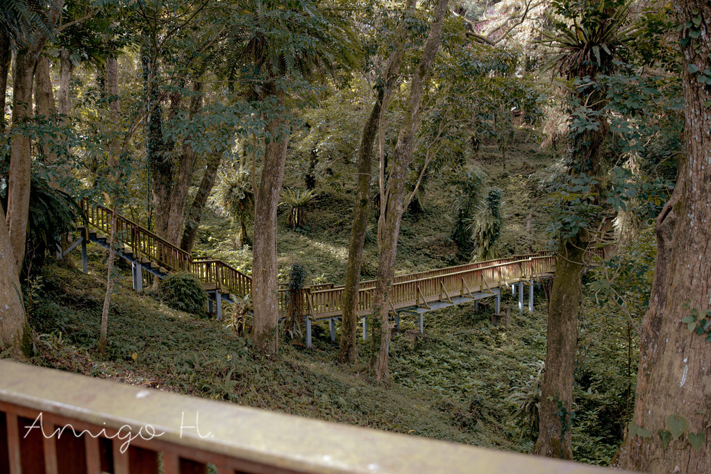 南投旅遊住宿 鹿谷 蟬說 鳳凰亭序