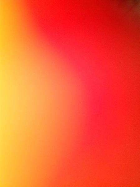902851_253398134811501_270333953_o 902851_253398134811501_270333953_o