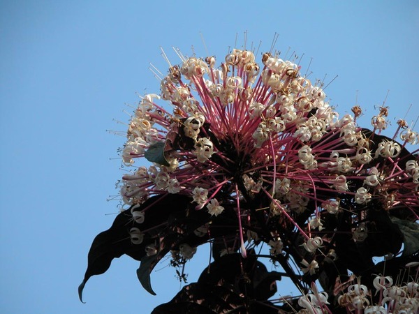 DSCN1831.jpg
