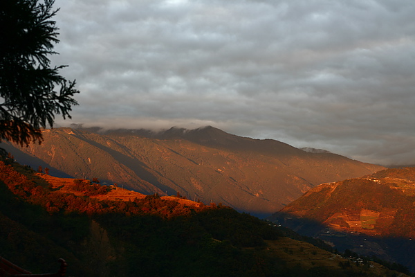 _MG_8517.JPG