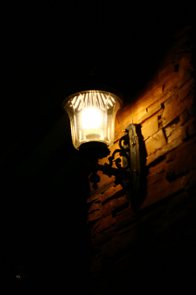 _MG_8541.JPG