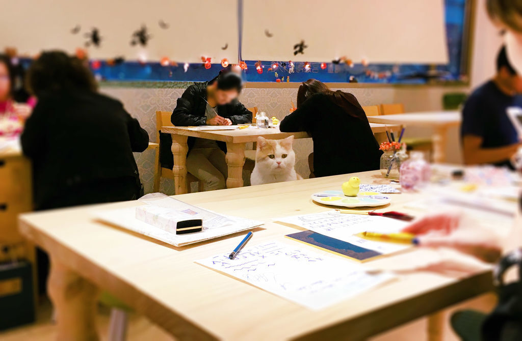 檔案_002 (1) 檔案_002 (1)