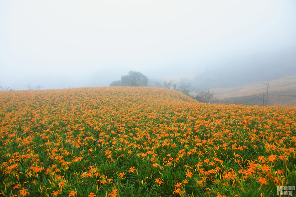 IMG_5546.jpg IMG_5546.jpg