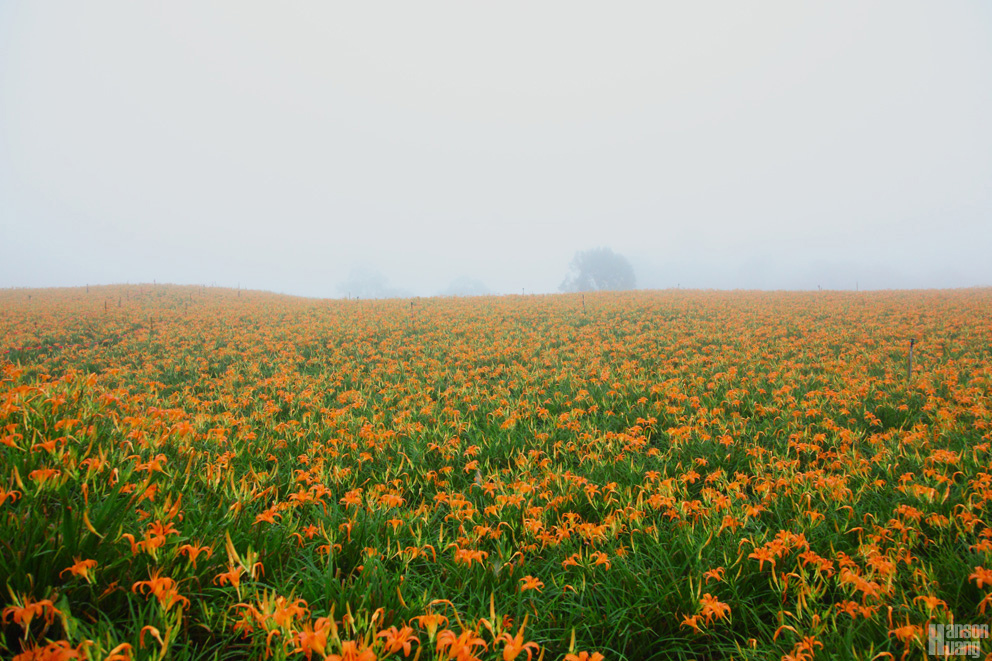 IMG_5547.jpg IMG_5547.jpg