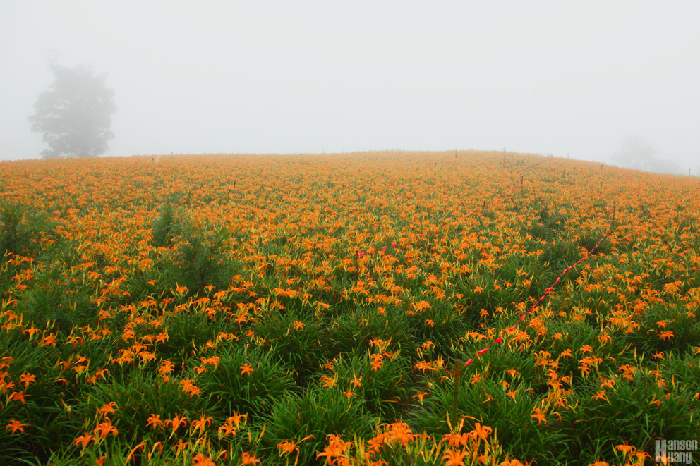 IMG_5551.jpg IMG_5551.jpg