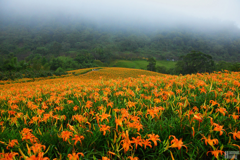 IMG_5569.jpg IMG_5569.jpg