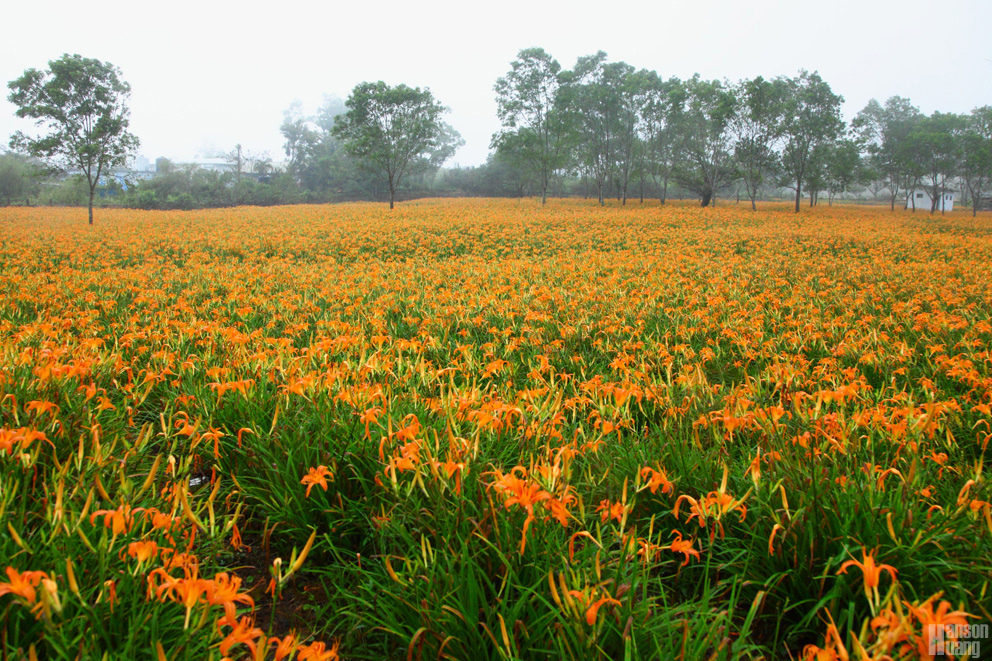 IMG_5577.jpg IMG_5577.jpg