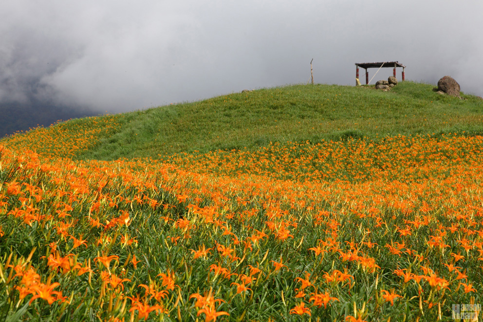 IMG_5663.jpg IMG_5663.jpg