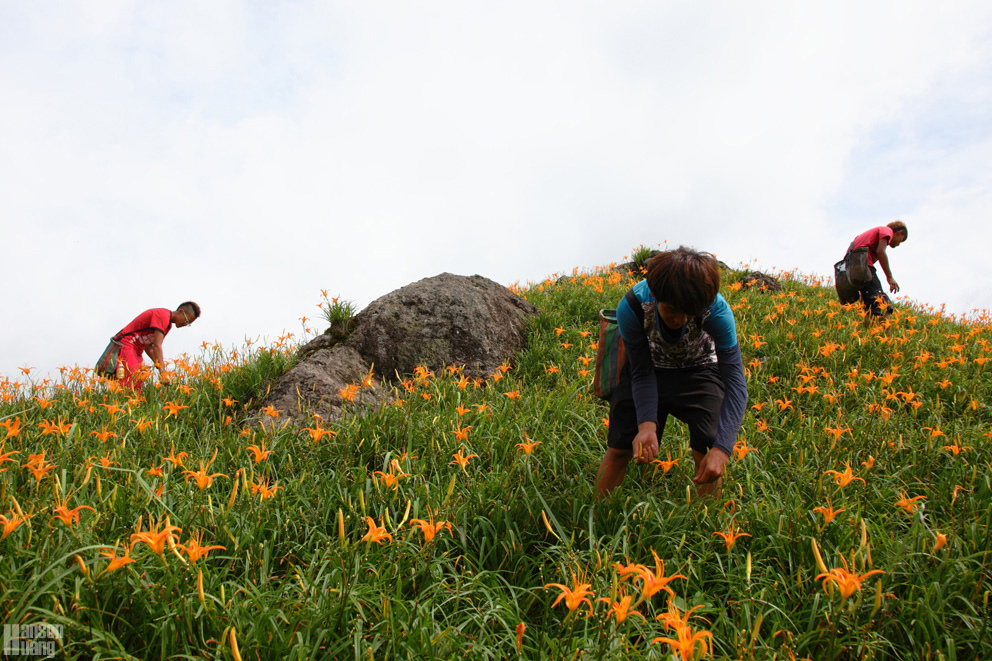 IMG_5666.jpg IMG_5666.jpg