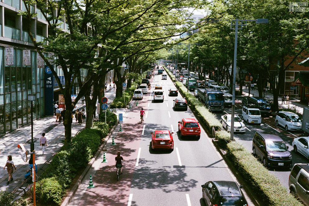 46750007.JPG 46750007.JPG