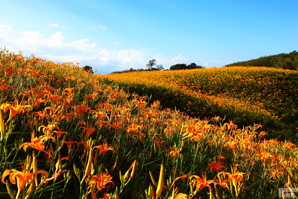 IMG_7771s.jpg IMG_7771s.jpg