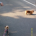 20110529南港公園migi和kayo.jpg