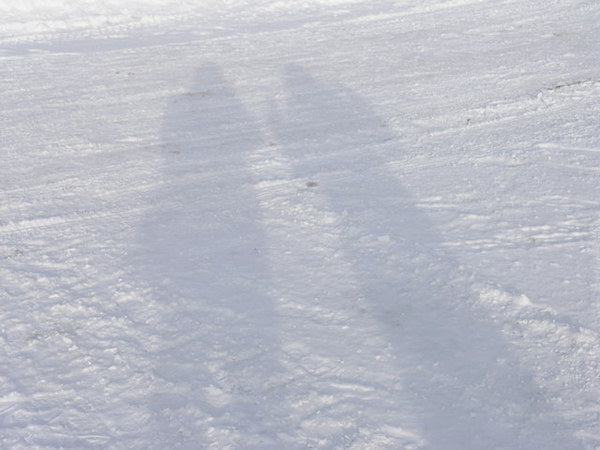 雪地中的倒影