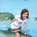 我要呈現我在騎海豚