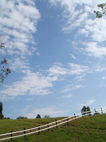 我愛這張藍天+白雲