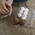 把蛋沾衛生紙在裹上泥土