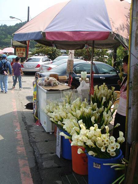 [竹子湖]--想直接買的就在這吧!!