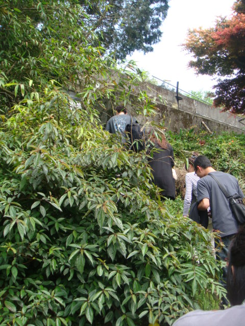 [竹子湖]--哇~~還走小路，爬小山!!