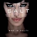 salt-poster