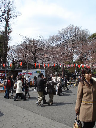 上野公園7.jpg