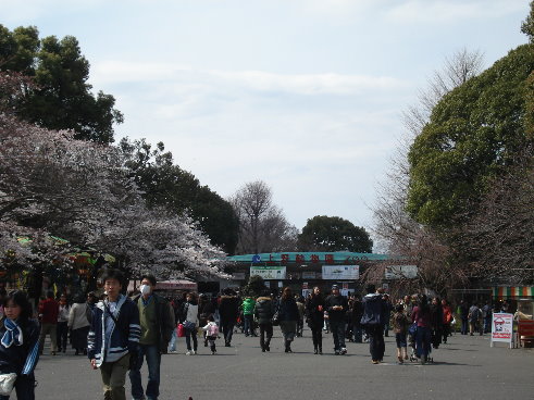 上野公園12.jpg