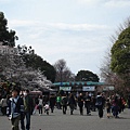 上野公園12.jpg