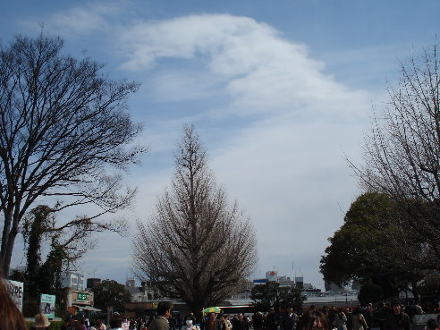 上野公園14.jpg