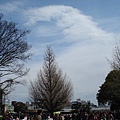 上野公園14.jpg