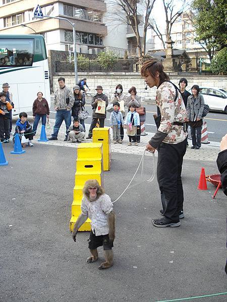 有猴子表演耶！