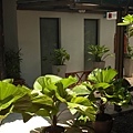 20110517-98.jpg