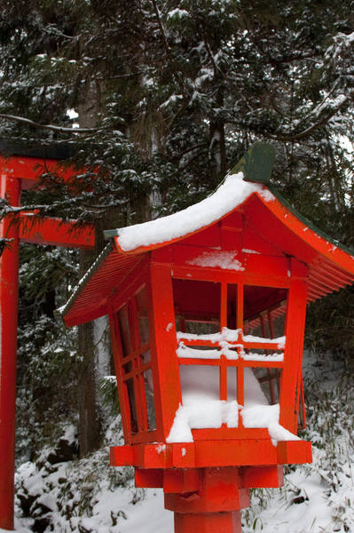 雪都堆積到燈裡面去了