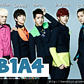 B1A41117