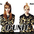 d-unit150406.png