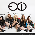 exid150413.png