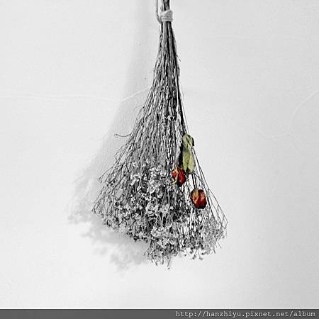 아름답다.jpg 아름답다.jpg