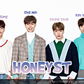 honeyst 171123.png