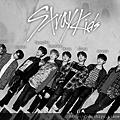 stray kids 180110.png