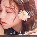 SolBin.jpg