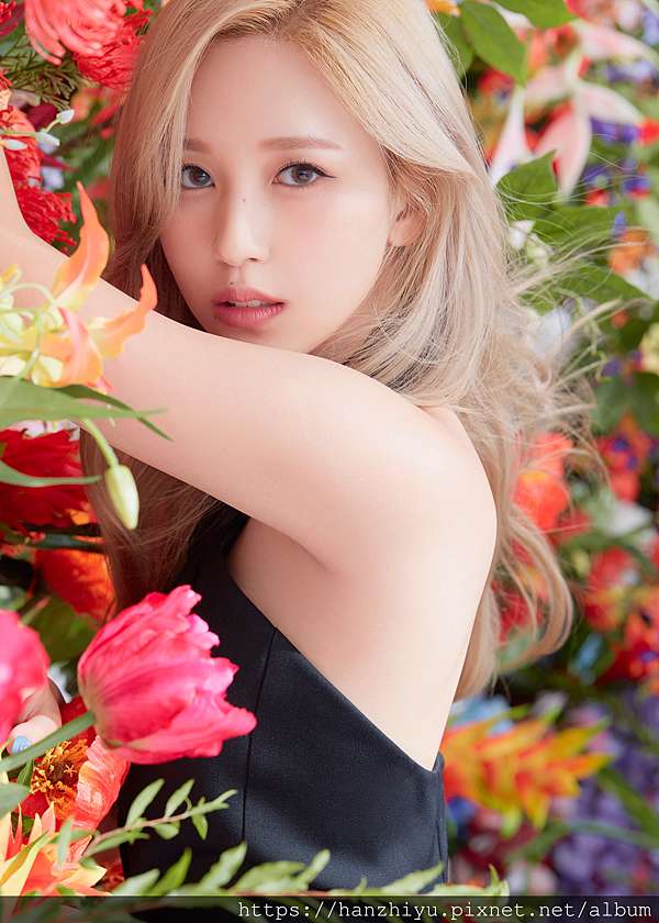團體 Twice 트와이스 資料介紹 1115更新 韓芝宥泡菜狂想曲 痞客邦 團體 Twice 트와이스 資料介紹 1115更新 韓芝宥泡菜狂想曲 痞客邦