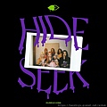 HIDE & SEEK.jpg