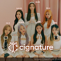 cignature 220214.png
