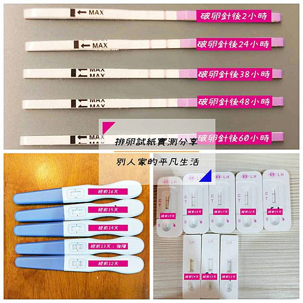 排卵試紙排卵卡排卵棒實測