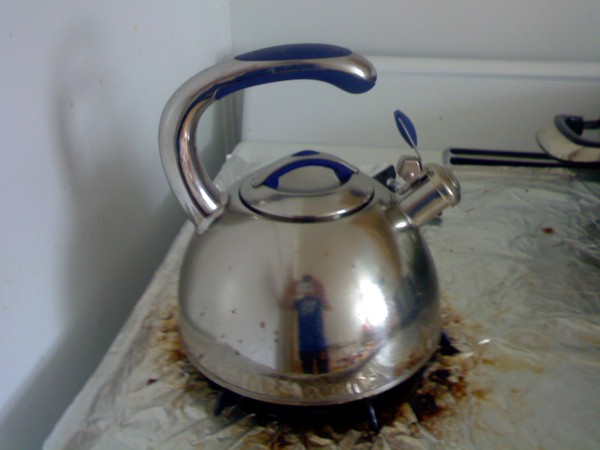 stainless tea pot